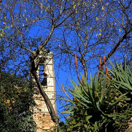 Angolo Dei Fiori *
