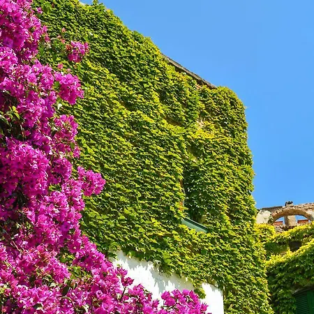 Apartamento Angolo Dei Fiori *
